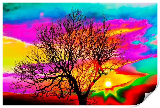 Hippy sunset. Print by Ashley Cooper