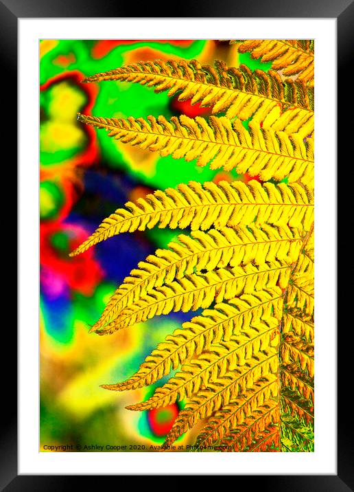 Abstract fern Framed Mounted Print by Ashley Cooper