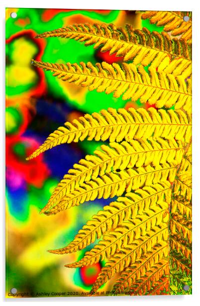 Abstract fern Acrylic by Ashley Cooper