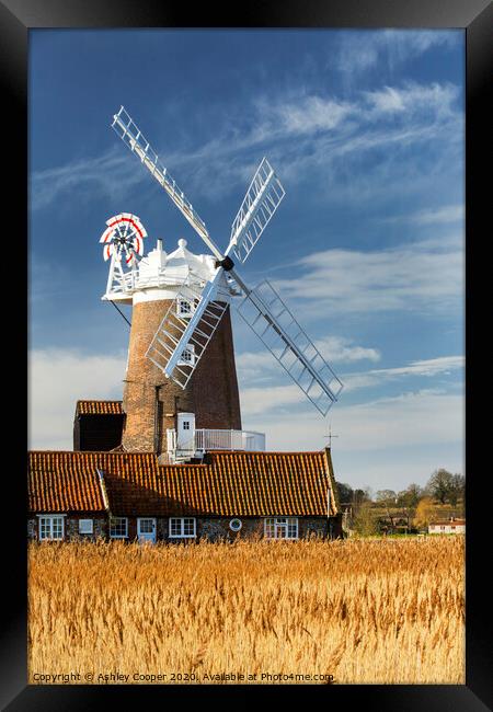 Cley mill autumn Framed Print by Ashley Cooper