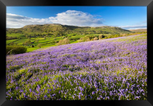 Outdoor field Framed Print by Ashley Cooper