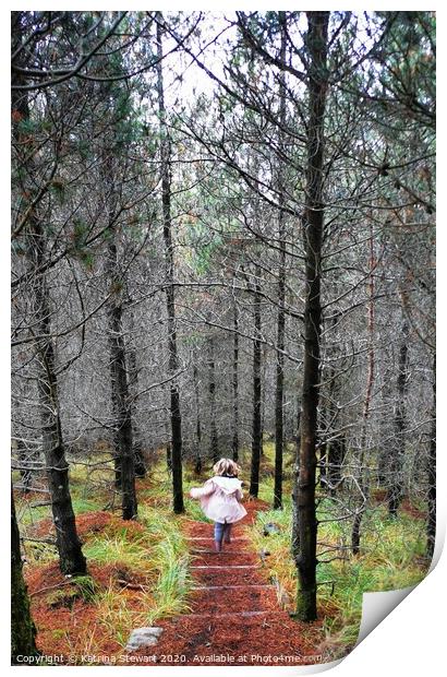 Happy Wanderering on Inverewe Pinewood Trail Print by Katrina Stewart