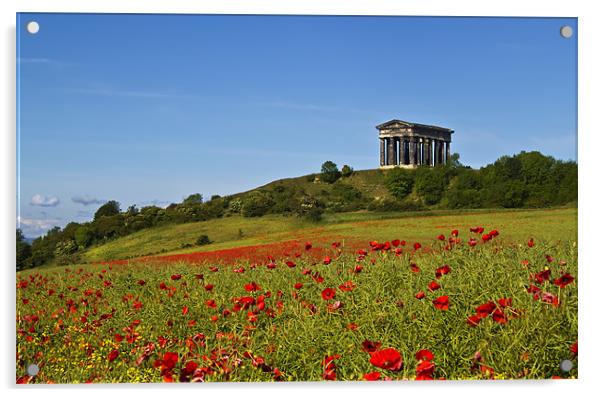 Penshaw Monument Acrylic by Kevin Tate