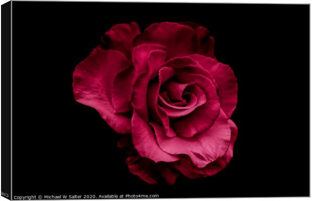 Red Rose Canvas Print by Michael W Salter