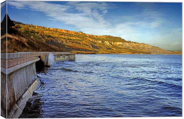 Lyme Sea Wall & The Spittles Canvas Print by Darren Galpin