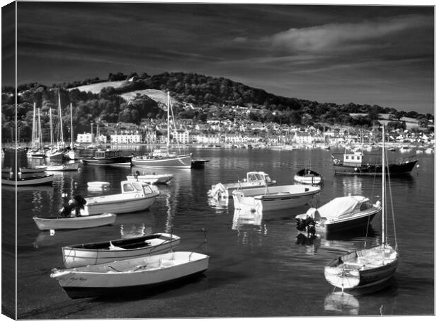 River Teign and Shaldon  Canvas Print by Darren Galpin