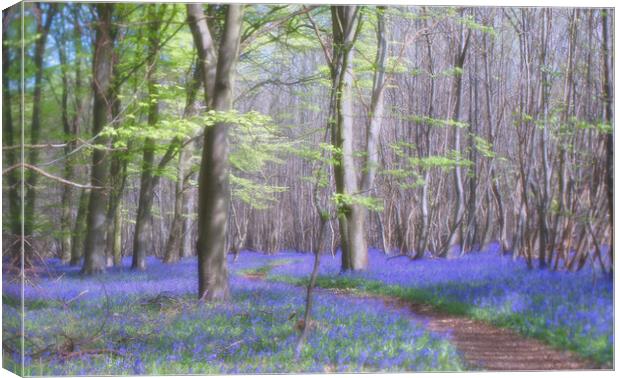 Bluebells in Kings Wood Canvas Print by Eileen Wilkinson ARPS EFIAP
