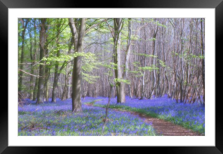 Bluebells in Kings Wood Framed Mounted Print by Eileen Wilkinson ARPS EFIAP