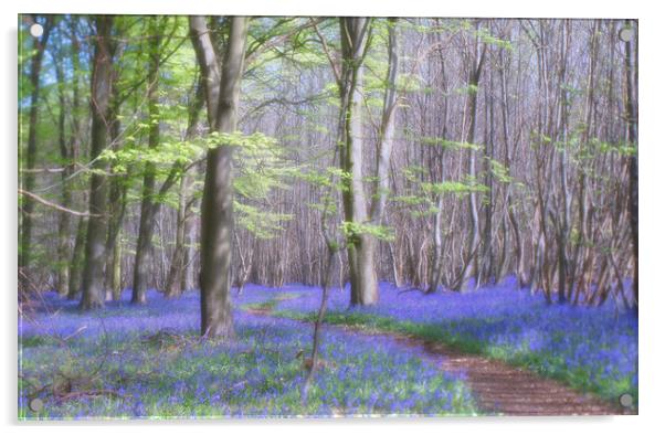 Bluebells in Kings Wood Acrylic by Eileen Wilkinson ARPS EFIAP