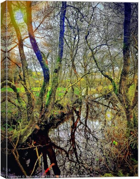 River in Autumn Woodland Canvas Print by Jacqui Morgan