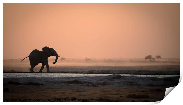 Elephant in the dust Print by Graham Fielder