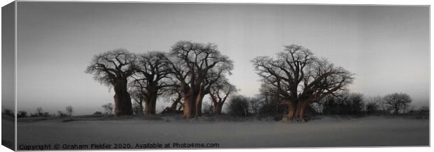 The Famous Baines Baobab trees in Botswana Canvas Print by Graham Fielder