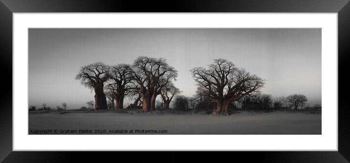 The Famous Baines Baobab trees in Botswana Framed Mounted Print by Graham Fielder