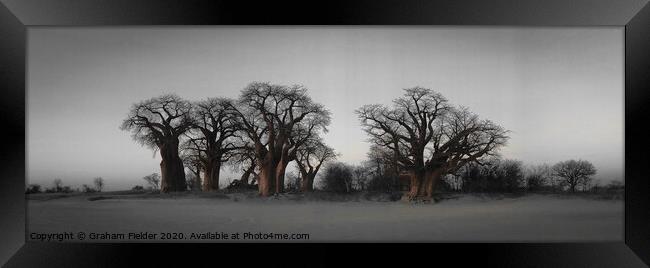 The Famous Baines Baobab trees in Botswana Framed Print by Graham Fielder