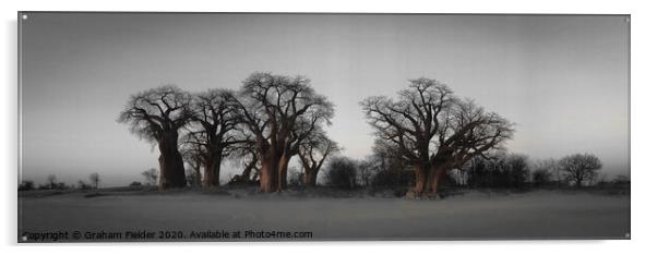 The Famous Baines Baobab trees in Botswana Acrylic by Graham Fielder