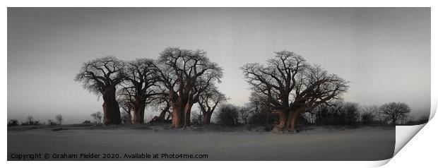 The Famous Baines Baobab trees in Botswana Print by Graham Fielder