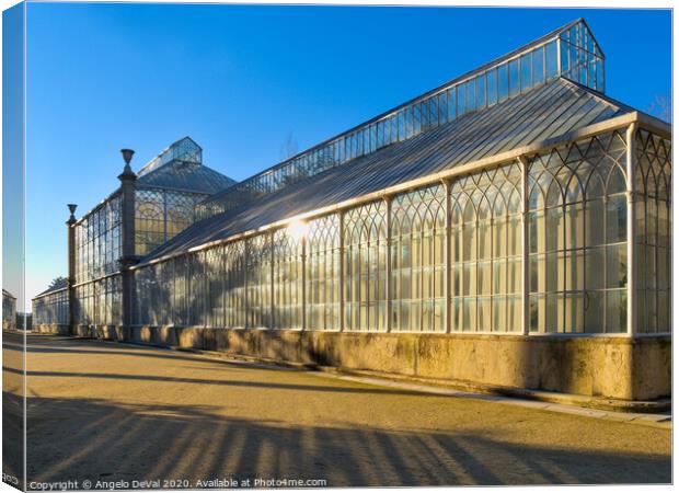 Greenhouse in the Botanical Garden of the University of Coimbra Canvas Print by Angelo DeVal