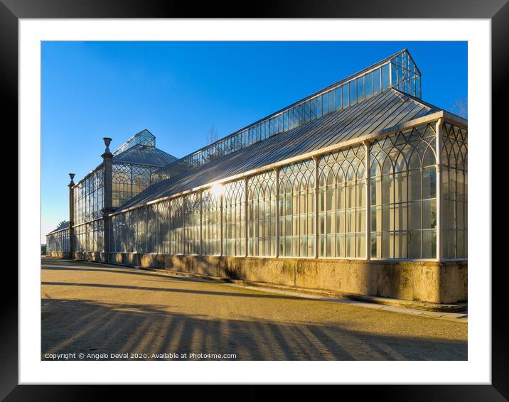Greenhouse in the Botanical Garden of the University of Coimbra Framed Mounted Print by Angelo DeVal