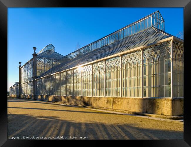 Greenhouse in the Botanical Garden of the University of Coimbra Framed Print by Angelo DeVal