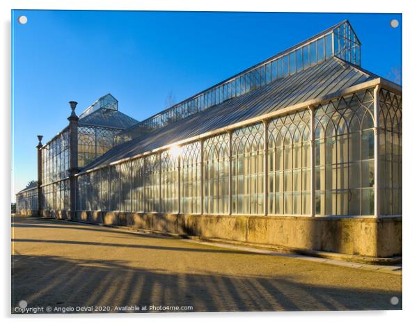 Greenhouse in the Botanical Garden of the University of Coimbra Acrylic by Angelo DeVal