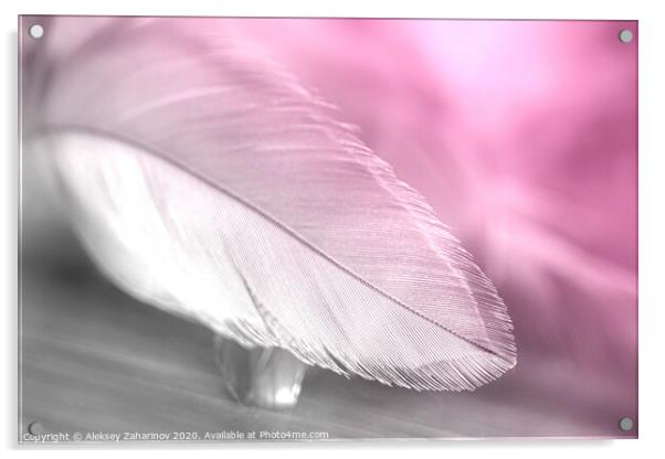 Dream Feather Acrylic by Aleksey Zaharinov