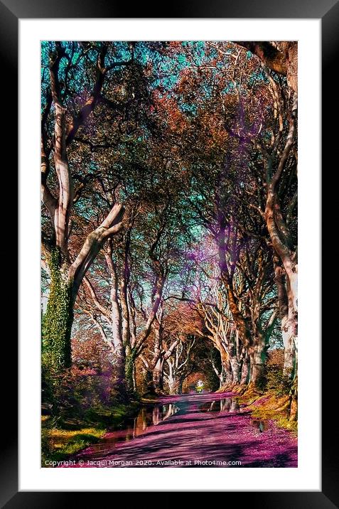 The Dark Hedges  Framed Mounted Print by Jacqui Morgan