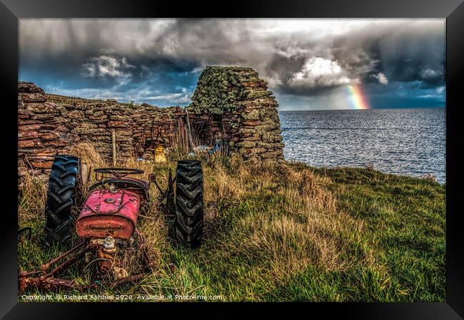 Shetland Red tractor and rainbow Framed Print by Richard Ashbee