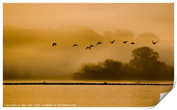 Geese at dawn over the Loch of Skene Print by alan bain