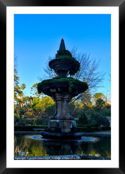Fountain in the Botanical Garden of the University of Coimbra Framed Mounted Print by Angelo DeVal