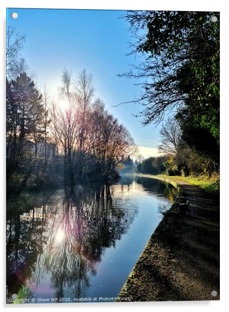 Stourbridge Canal in Winter Acrylic by Steve WP