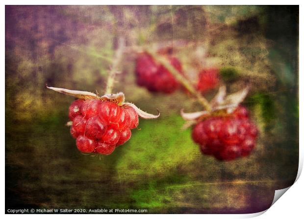 Raspberrys In the wild Print by Michael W Salter