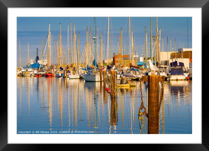 Shoreham yacht basin. Framed Mounted Print by Bill Allsopp