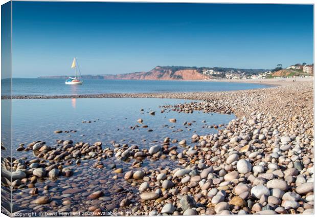 All Moored up at Budleigh Salterton Canvas Print by David Merrifield
