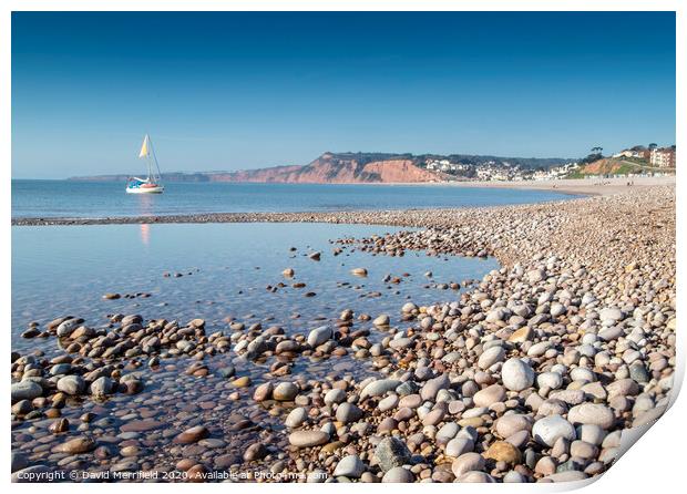 All Moored up at Budleigh Salterton Print by David Merrifield