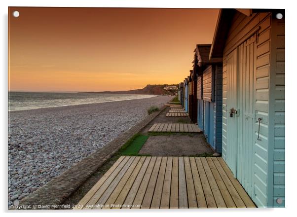 Budleigh Beach Huts Acrylic by David Merrifield