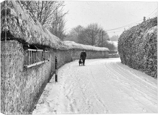 The old cob wall at Colaton Raleigh during the snow. Canvas Print by David Merrifield