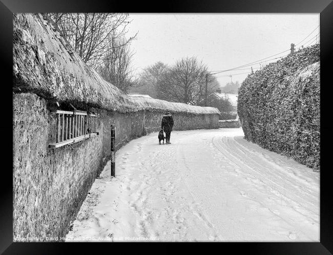 The old cob wall at Colaton Raleigh during the snow. Framed Print by David Merrifield