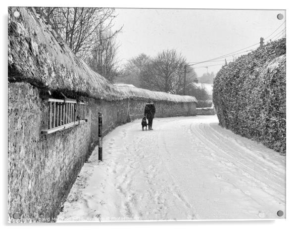 The old cob wall at Colaton Raleigh during the snow. Acrylic by David Merrifield