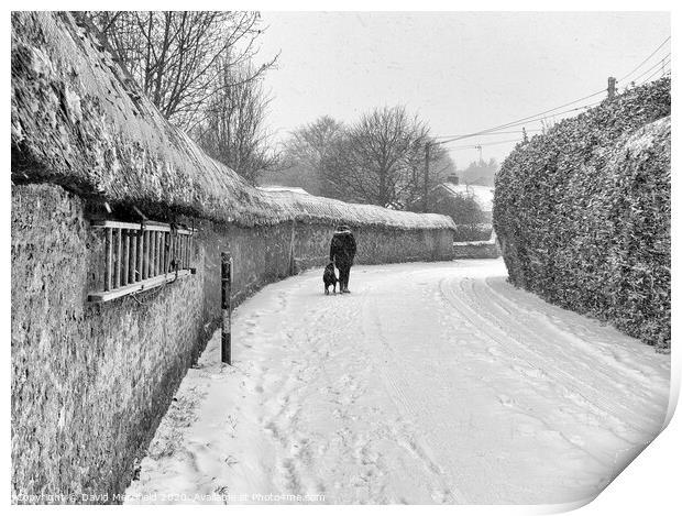 The old cob wall at Colaton Raleigh during the snow. Print by David Merrifield