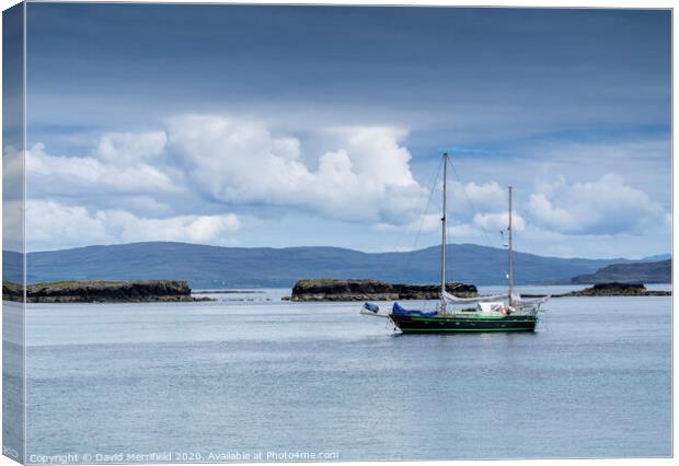 Perfect day moored of Lunga - Scotland Canvas Print by David Merrifield