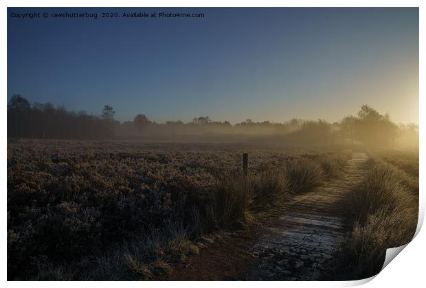 Frosty Morning At Chasewater Country Park Print by rawshutterbug 