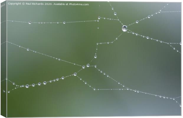 Water droplets on a spider web Canvas Print by Paul Richards