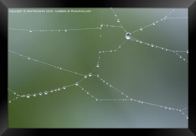 Water droplets on a spider web Framed Print by Paul Richards