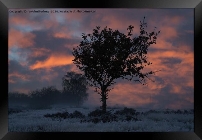 Frosty Sunrise At Chasewater Country Park Framed Print by rawshutterbug 