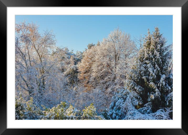  a white winter landscape Framed Mounted Print by daniele mattioda