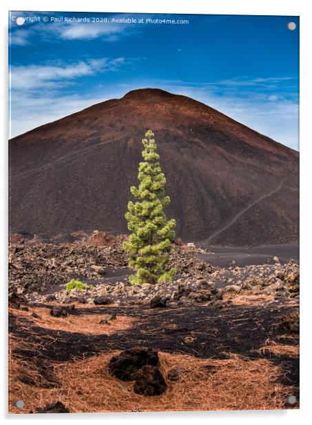 Landscape of Tenerife Acrylic by Paul Richards