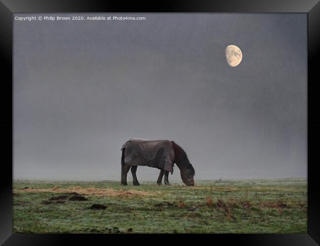 Horse in Misty Field with Moon Framed Print by Philip Brown
