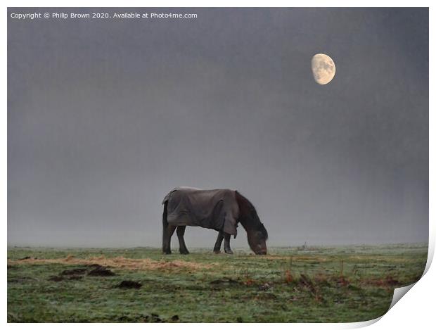 Horse in Misty Field with Moon Print by Philip Brown