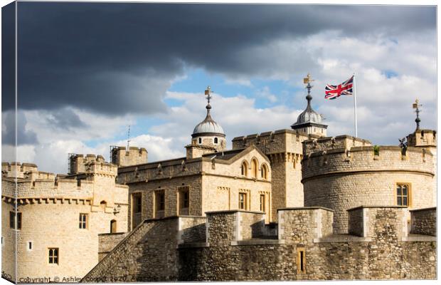 Tower of London Canvas Print by Ashley Cooper
