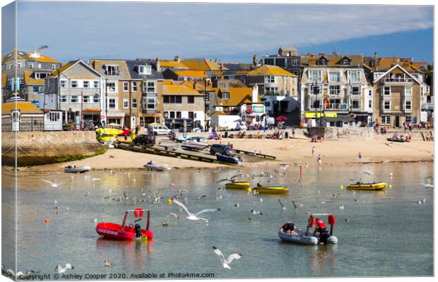 St Ives harbour. Canvas Print by Ashley Cooper